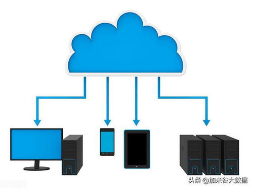 大數(shù)據(jù)的發(fā)展前景 網(wǎng)絡(luò)技術(shù)服務(wù)驅(qū)動的未來圖景